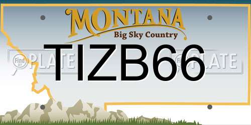 TIZB66 Montana License Plate