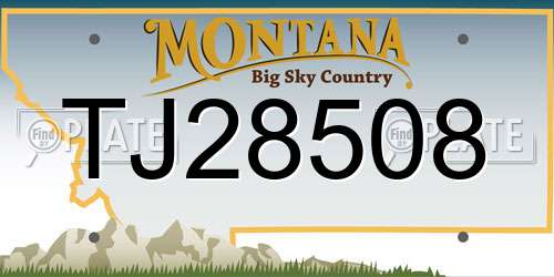 TJ28508 Montana License Plate