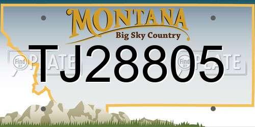 TJ28805 Montana License Plate