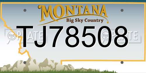 TJ78508 Montana License Plate