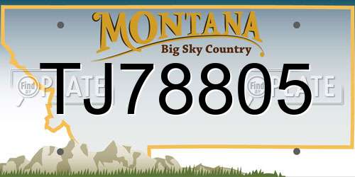 TJ78805 Montana License Plate
