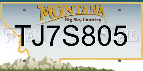 TJ7S805 Montana License Plate