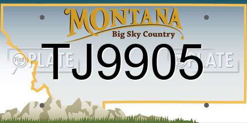TJ9905 Montana License Plate