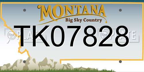 TK07828 Montana License Plate