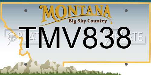 TMV838 Montana License Plate