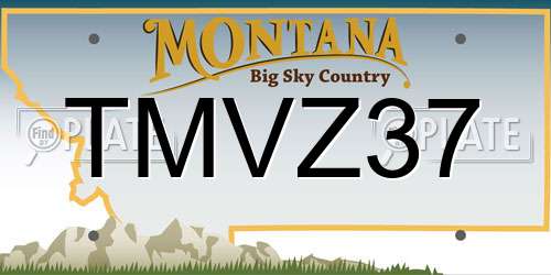 TMVZ37 Montana License Plate