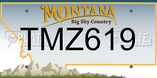 TMZ619 Montana License Plate