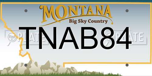 TNAB84 Montana License Plate
