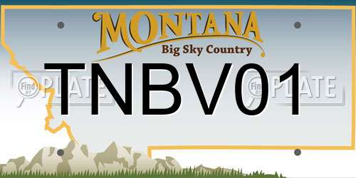 TNBV01 Montana License Plate