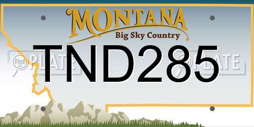 TND285 Montana License Plate