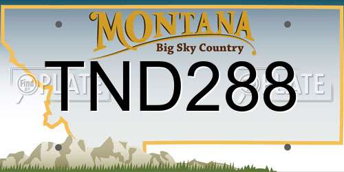 TND288 Montana License Plate