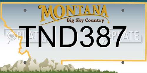 TND387 Montana License Plate