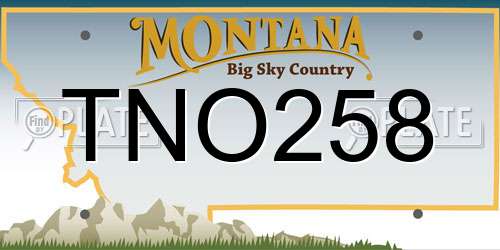 TNO258 Montana License Plate