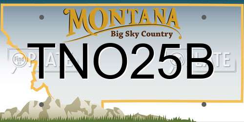 TNO25B Montana License Plate