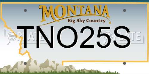 TNO25S Montana License Plate