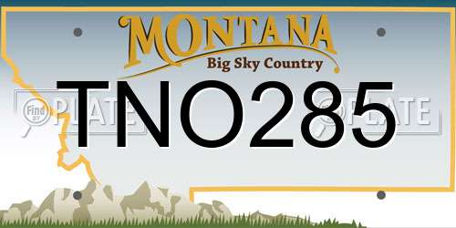 TNO285 Montana License Plate