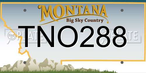 TNO288 Montana License Plate