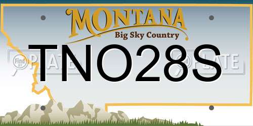 TNO28S Montana License Plate