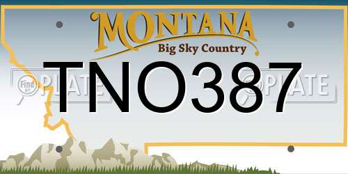 TNO387 Montana License Plate