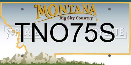 TNO75S Montana License Plate
