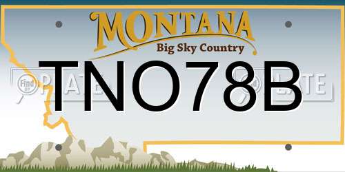 TNO78B Montana License Plate