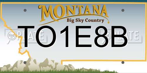 TO1E8B Montana License Plate