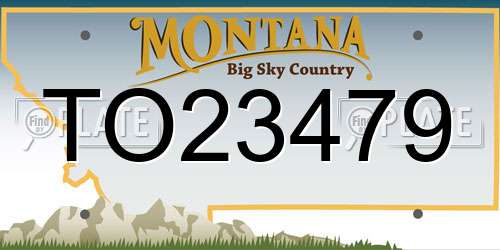 TO23479 Montana License Plate