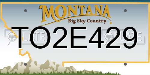 TO2E429 Montana License Plate