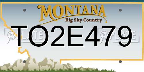 TO2E479 Montana License Plate