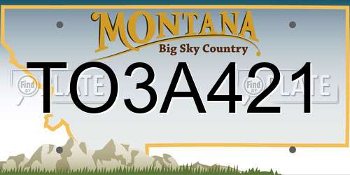 TO3A421 Montana License Plate