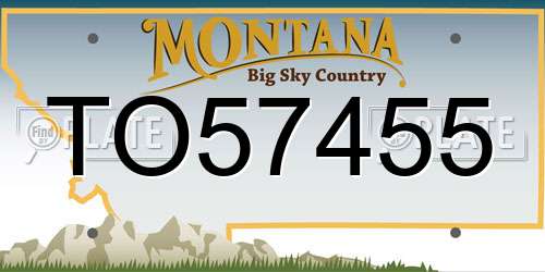 TO57455 Montana License Plate