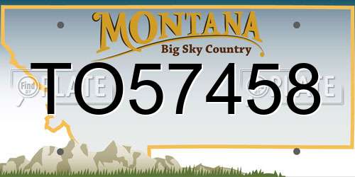 TO57458 Montana License Plate