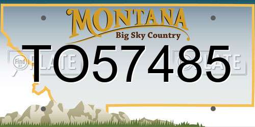 TO57485 Montana License Plate
