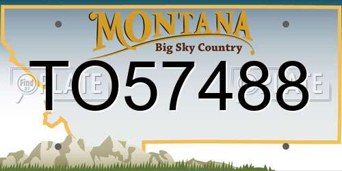 TO57488 Montana License Plate