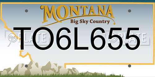 TO6L655 Montana License Plate