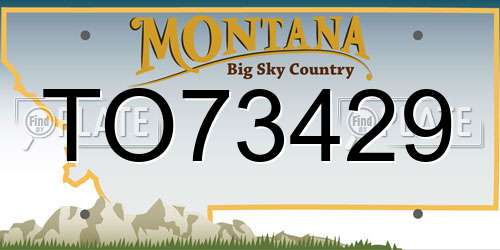 TO73429 Montana License Plate