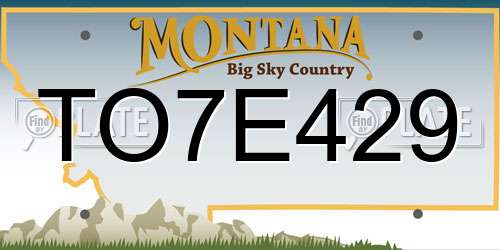 TO7E429 Montana License Plate