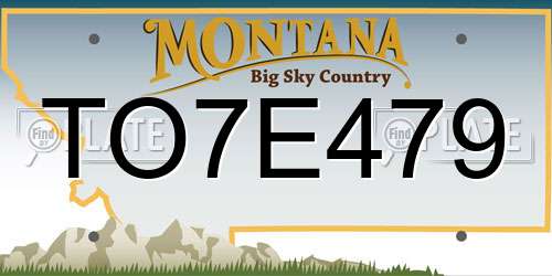 TO7E479 Montana License Plate