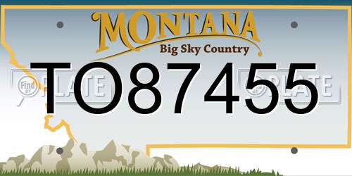TO87455 Montana License Plate