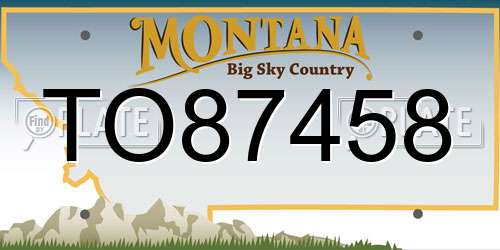 TO87458 Montana License Plate