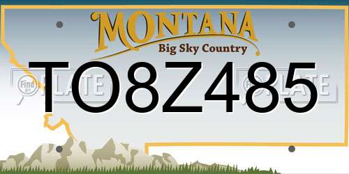 TO8Z485 Montana License Plate