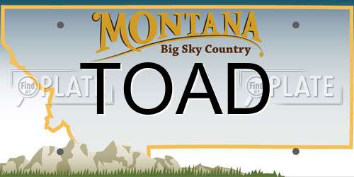 TOAD Montana License Plate