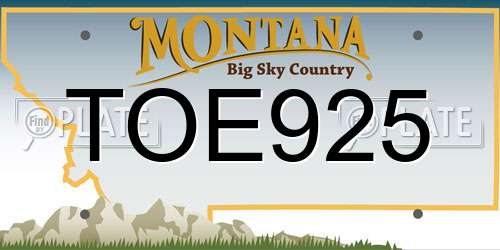 TOE925 Montana License Plate