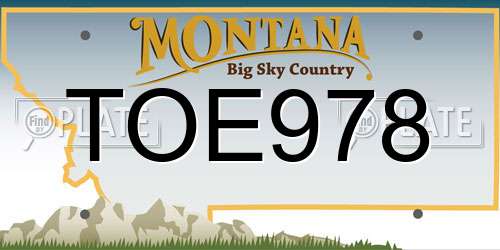 TOE978 Montana License Plate