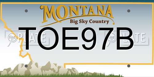 TOE97B Montana License Plate