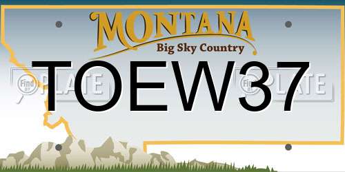 TOEW37 Montana License Plate
