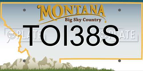 TOI38S Montana License Plate