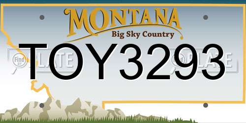 TOY3293 Montana License Plate