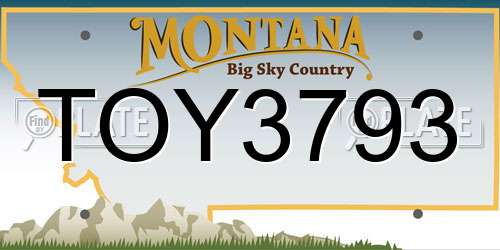 TOY3793 Montana License Plate