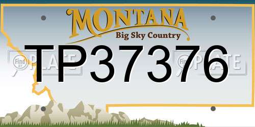 TP37376 Montana License Plate